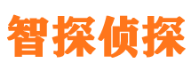 桦甸外遇调查取证